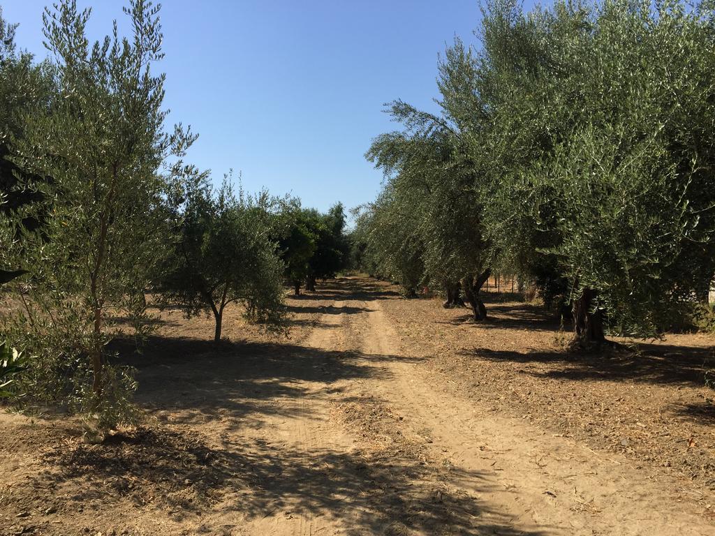 فيلا Elaianthos 1 غيتيو المظهر الخارجي الصورة